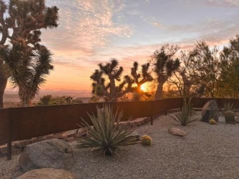Villa Kuro By Fieldtrip Serene Minimalist Escape Joshua Tree Zewnętrze zdjęcie